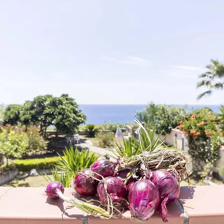 Upscale Villa In Joppolo Italy With Sea Views Villa *